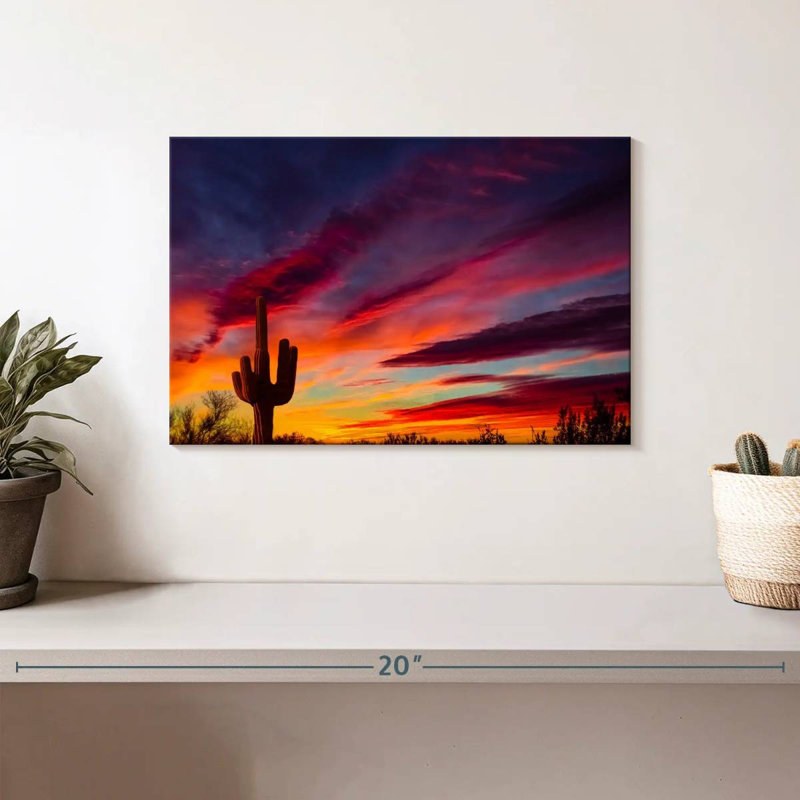 Cactus Alvord Saguaro, H 8 po x l 12 po