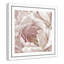 Intime rosé II - photographie-60493306-60493313
