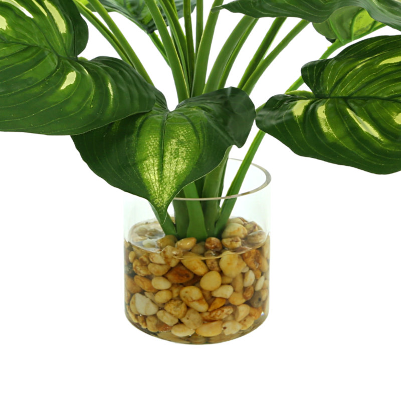 Faux Hosta Plant in Glass Vase
