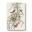 Orchard Oriole by John Audubon - Wrapped Canvas-55366734