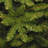 14ft. Royal Grove Fir Pencil Christmas Tree-1125132394