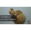 3 Piece Lily Pad Cluster Set-Antique Brass