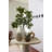 Crumbley Thessaly Vase-759266370