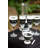 Pensford 8.25 oz. Cosmos Glass