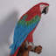 Statue grandeur nature perroquet Ara rouge