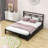 Metal Platform Bed with 2 Drawers-1514307475