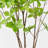 Audet Green Artificial Enkianthus Perulatus Branch(1 Stem)-366761213