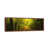 Classic Wood Floater Frame is unavailable