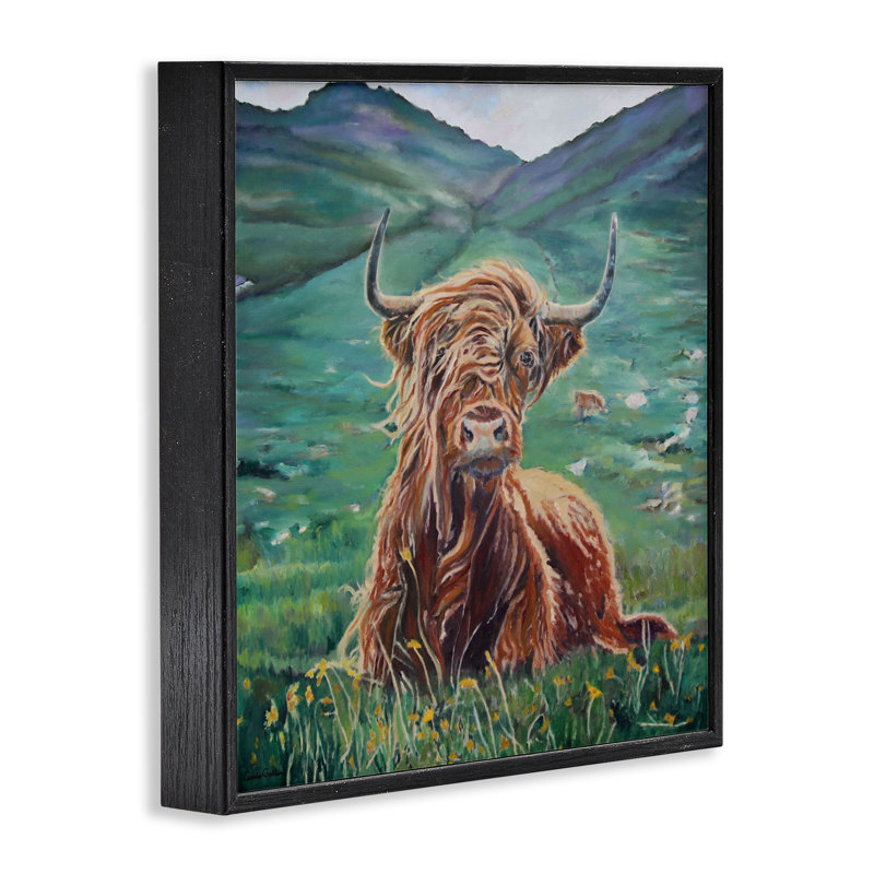 Giclée encadrée par des vaches Highland, Giclée encadrée noir minuit, H 12 po x l 12 po