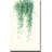 " Trailing Vines I "-2057922018-2057922019