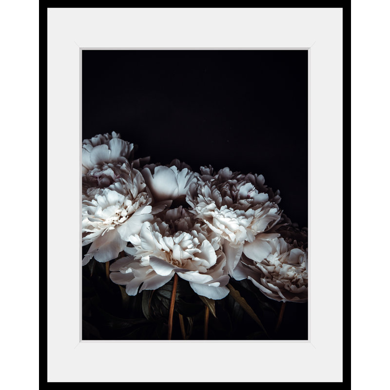 Rose - Single Picture Frame Print