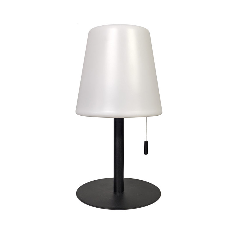 Hanselka Table Lamp