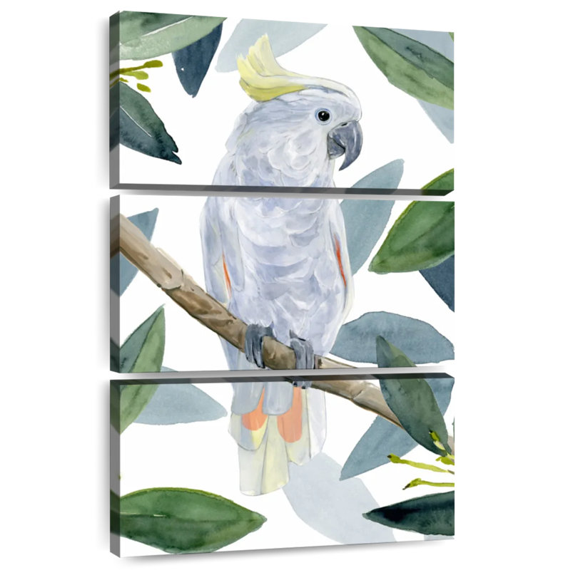 Brampt Cockatoo Perch I