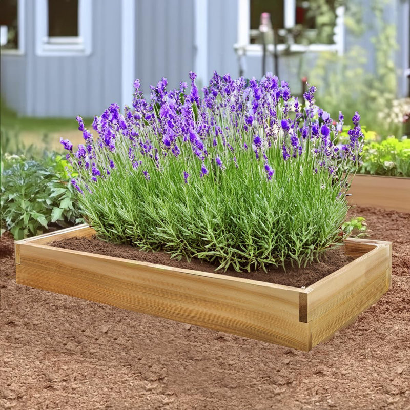 Raised Garden Box, 5.25" H x 46" W x 22" D