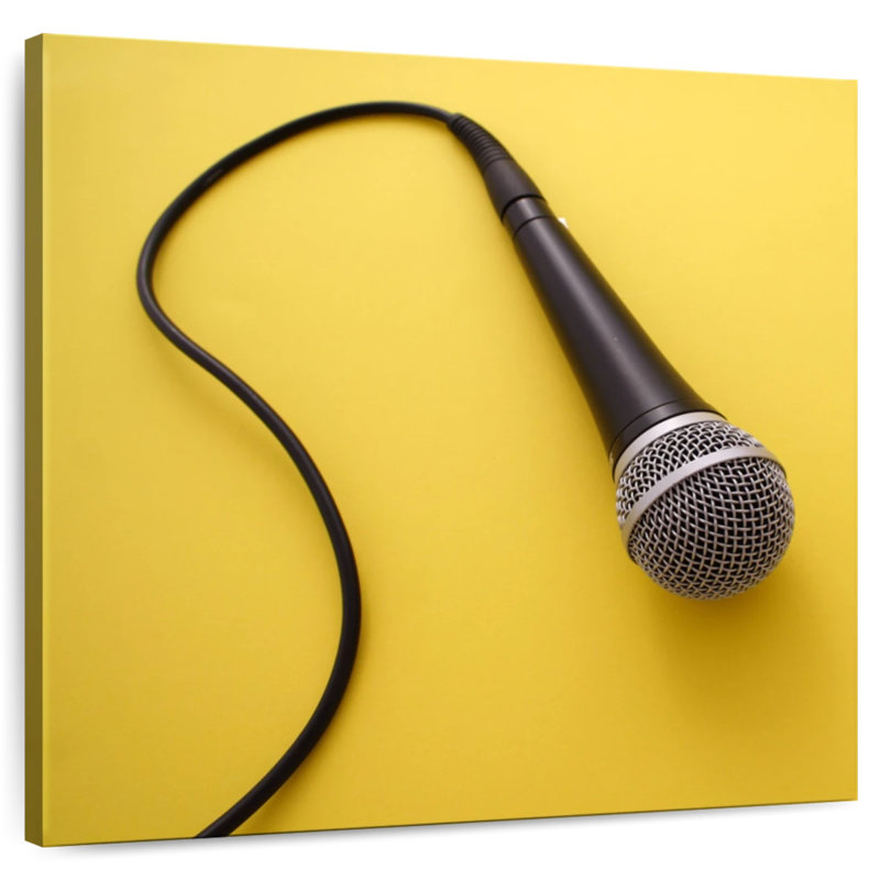 Abarca Wired Microphones