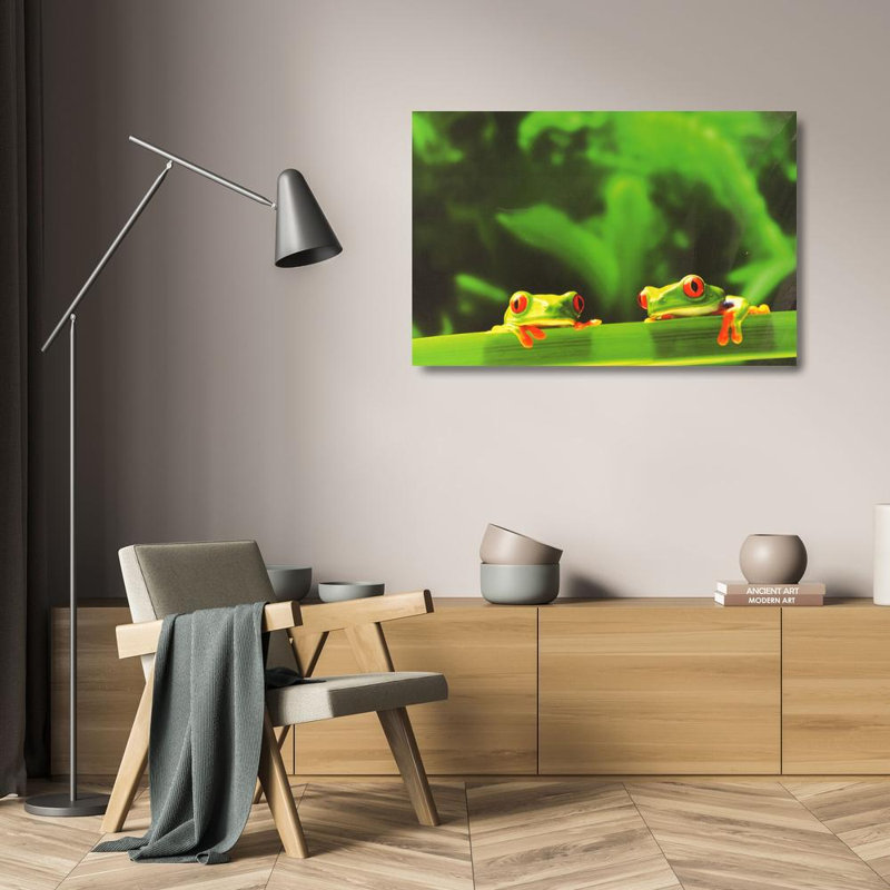 Red Eyed Tree Frogs, 16" H x 24" W