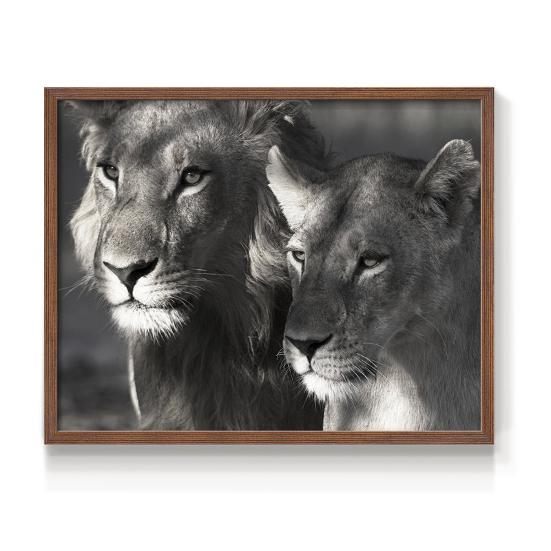 Lion et lionne - reproduction encadrée - réarmable, H 8 po x l 10 po, Noyer