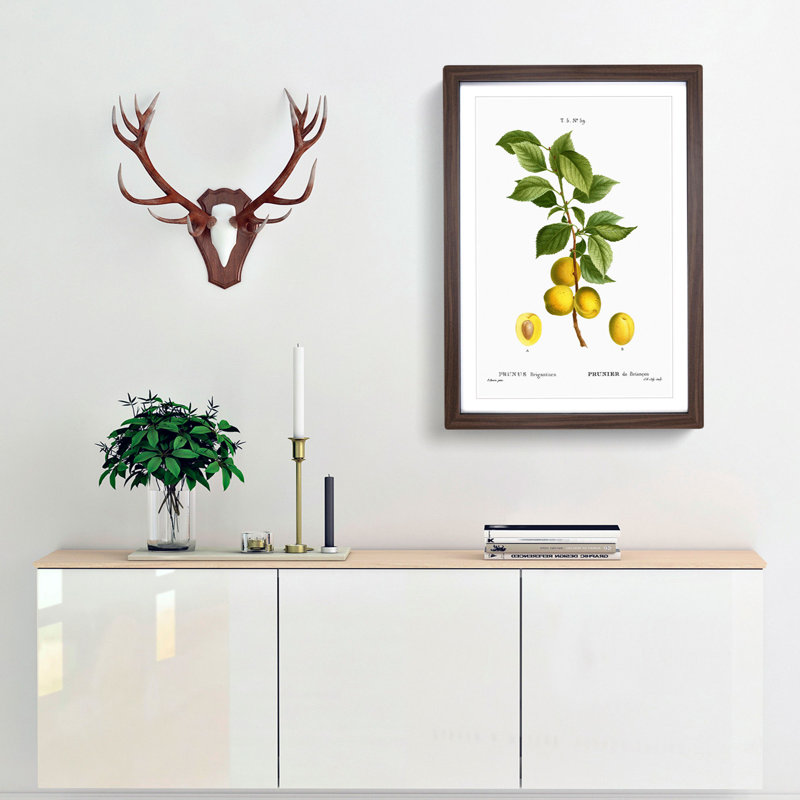 Apricot Tree Branch by Pierre-Joseph Redoute - Single Picture Frame Painting, 45cm H x 33cm W x 2cm D, Walnut Framed