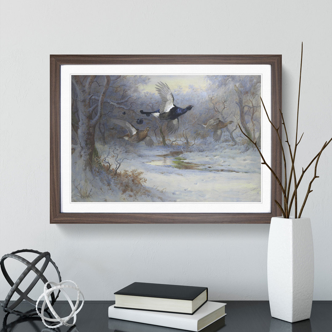 Blackcock and Grouse in Flight by Archibald Thorburn - Picture Frame Painting