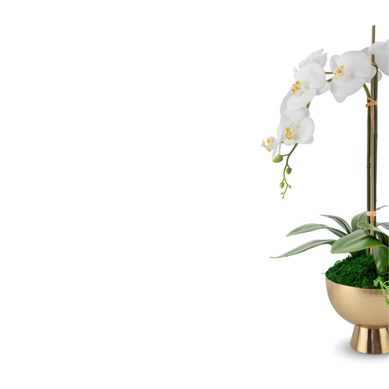 Orchidée Monet RealTouch en piédestal doré, Neige