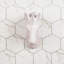 Fausse taxidermie licorne