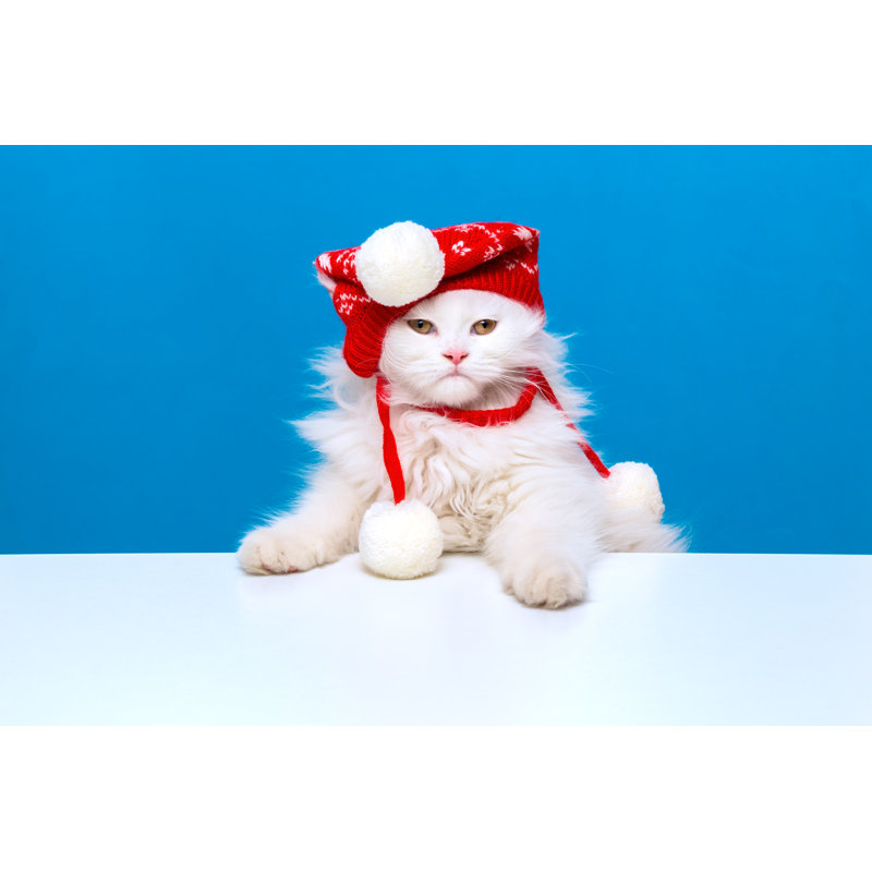 Cat With Red Stocking Hat by 1001slide - No Frame Print on Canvas, 61cm H x 91cm W