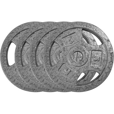 Cast Iron Weight Plates Set 1 in, 2.5 LBS/5 LBS/10 LBS/25 LBS Bumper Plates for Home Gym, Strength Training & Weightlifting (4 x 5 LBS Sets)