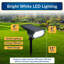 Solar Pathway Spotlight Stake