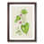 Walnut Framed selected