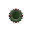 Strawberry Earthenware Dinner Plate