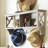 Beecher Wall 3 - Hook Wall Mounted Coat Rack-254322016