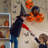 Insects Wall Decal-639801702