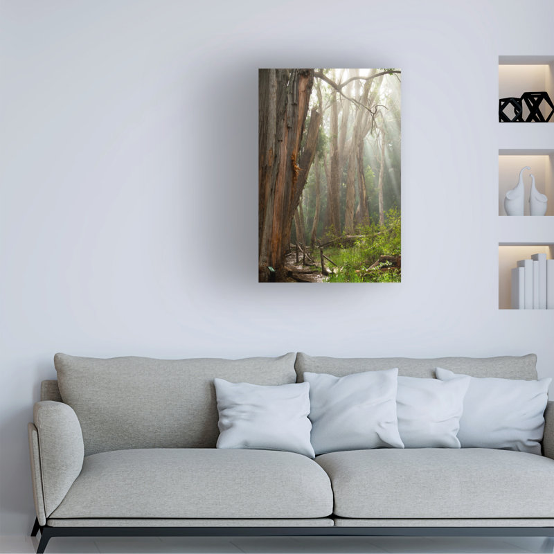 Eucalyptus Forest Landscape Canvas Print in Brown and Green