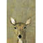 Julia Posokhova - Wrapped Canvas Painting-998860118