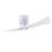 Lindsay 52'' Ceiling Fan with LED Lights-5738881-53716725