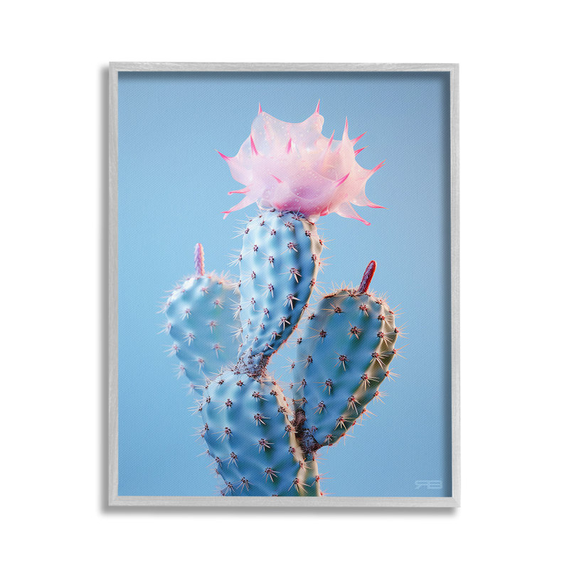 Pink Budding Cactus Flowers Single Picture Frame by RB Print on Canvas, Gray, 20" H x 16" W