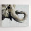 Trunk Space Print by Chelsea Art Studio-25704539-25704540