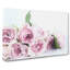 Dusty Pink Roses - Wrapped Canvas Painting-56655543