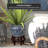 Prunty Handmade Ceramic Cachepot-744258557