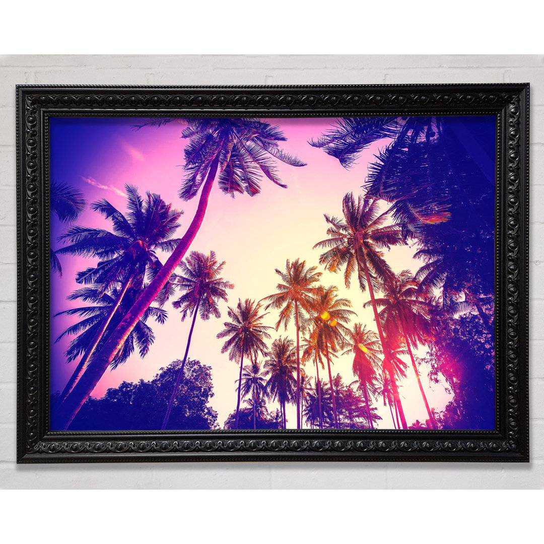 Palm Tree Glow - Einzelner Bilderrahmen Kunstdrucke