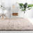 Indoor Rug-252302825