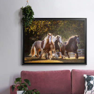 Sunlit Horses III, reproduction d'art sur toile encadrée