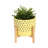 Ceramic Stoneware Planter on Stand - Modern Garden Indoor/Outdoor Plant Pot with Elevated Wooden Base, Decorative Flower Pot for Home and Patio-386672333-386672330