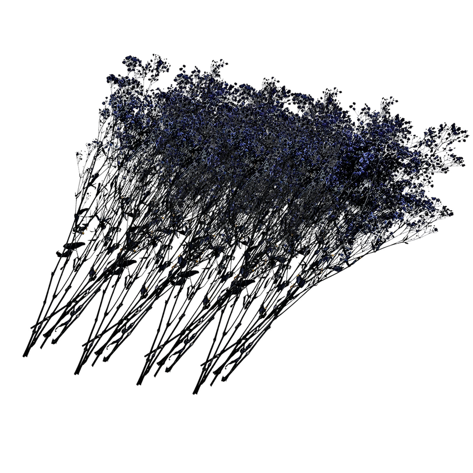 Dried Preserved Baby's Breath Stems, Blue Purple
