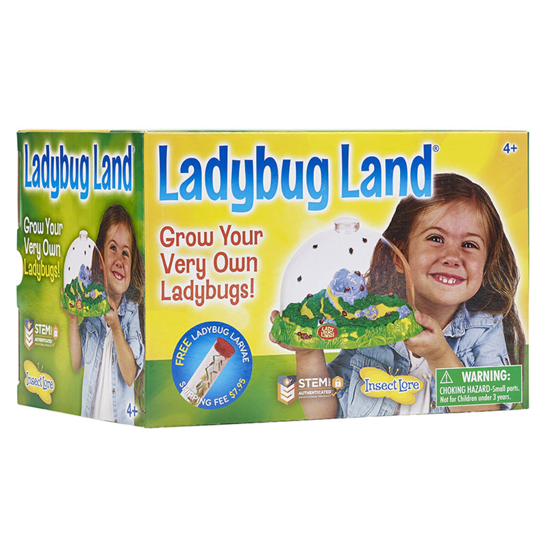 Ladybug Land