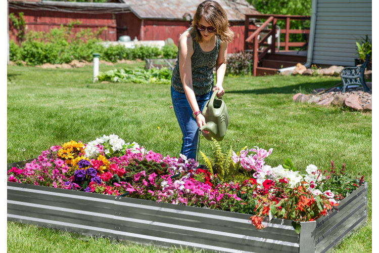 Woman holding a watering can and watering a bed of flowers in a raised bed chaos garden