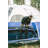 Stansport Heavy Duty G.I. Cot-97167896