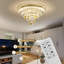 18in LED Flush Mount Chandelier Radiating Dandelion Crystal Ceiling Light-116642389