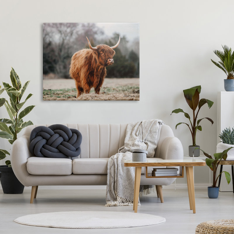«Serene Highland Cattal Country Pasture Daylight Sun» par Dakota Diener - impression sur toile tendue