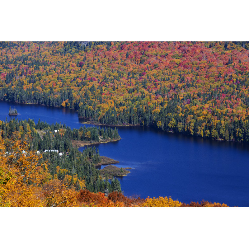 Labrie Canadian Autumn - Wrapped Canvas Print, 61cm H x 91cm W x 3.8cm D